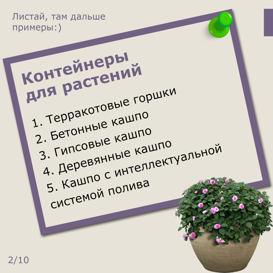 Контейнеры для растений